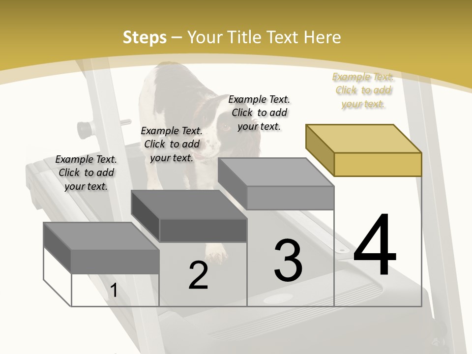Equipment Exercise Pet PowerPoint Template