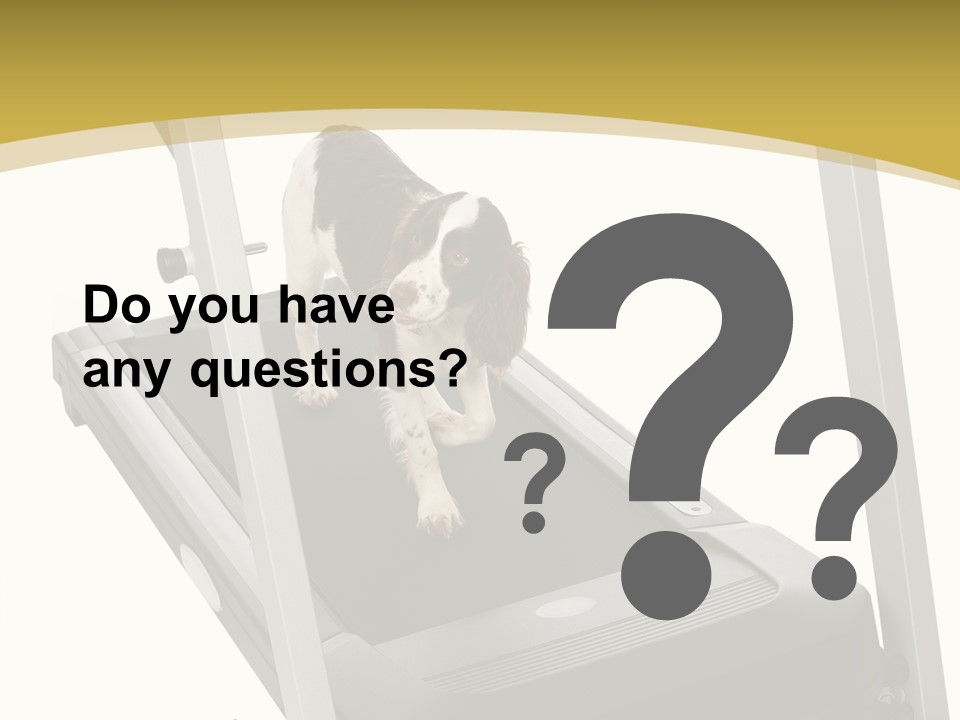 Equipment Exercise Pet PowerPoint Template