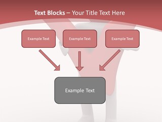 Check Isolated Confirmation PowerPoint Template