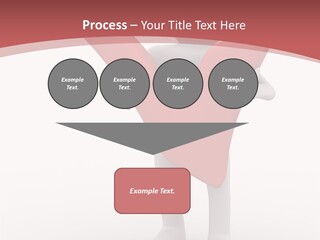 Check Isolated Confirmation PowerPoint Template