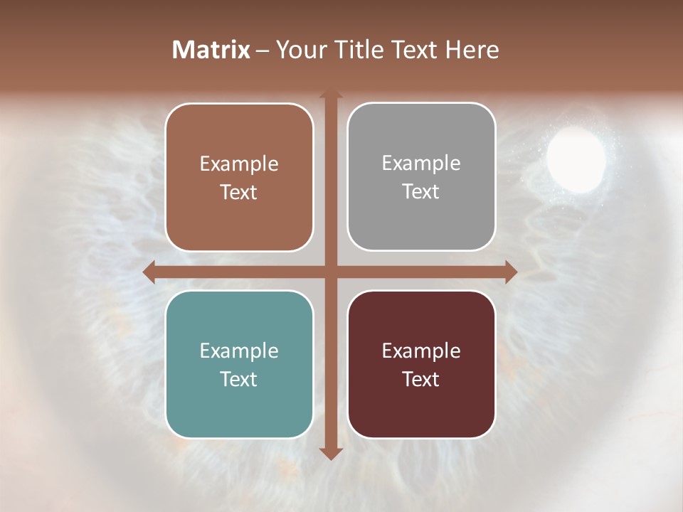 Medical Macro Care PowerPoint Template