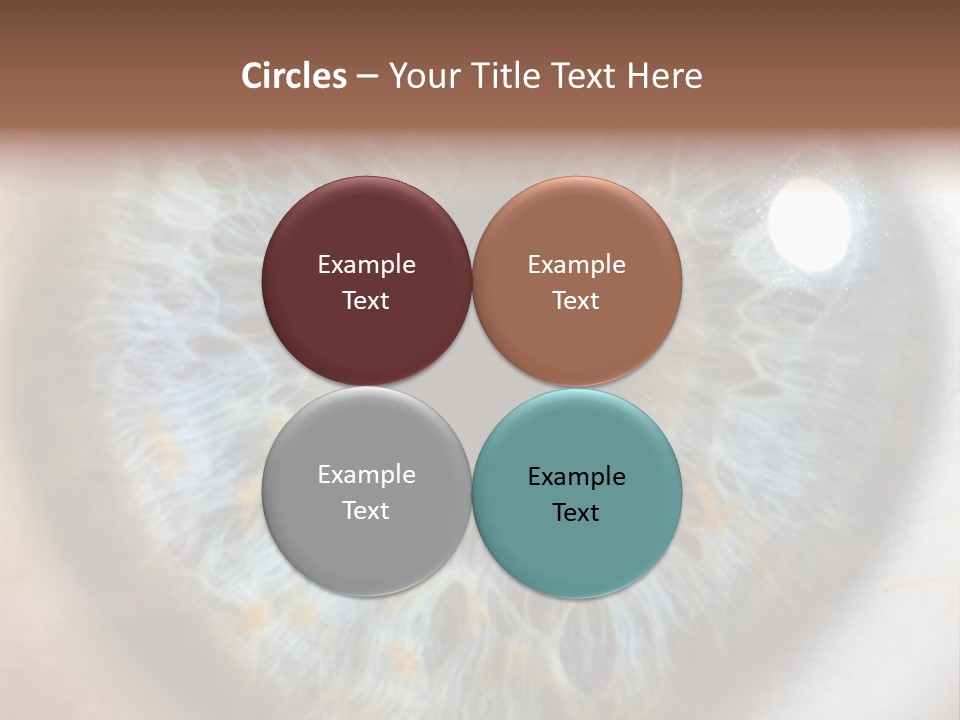 Medical Macro Care PowerPoint Template