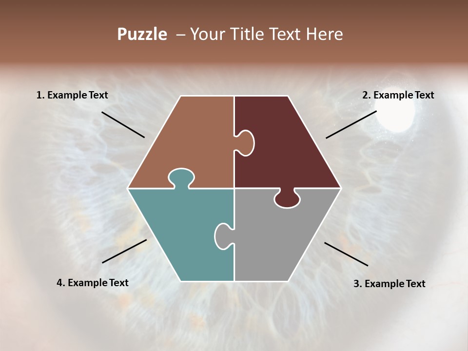 Medical Macro Care PowerPoint Template