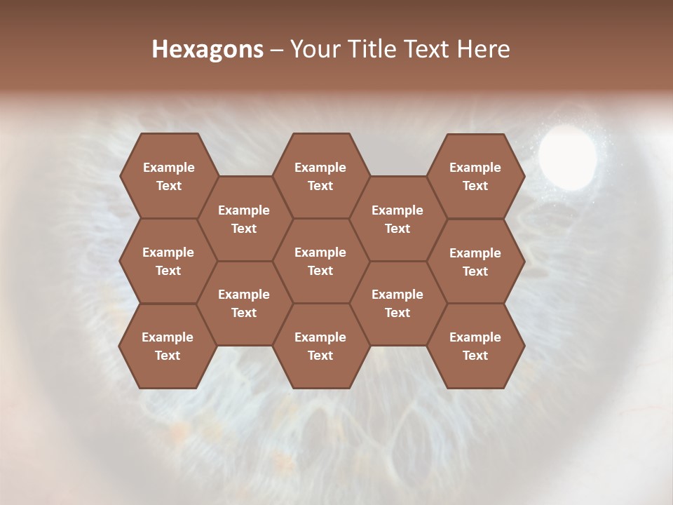 Medical Macro Care PowerPoint Template