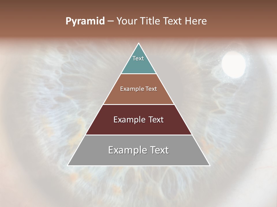 Medical Macro Care PowerPoint Template