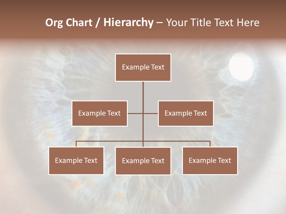 Medical Macro Care PowerPoint Template