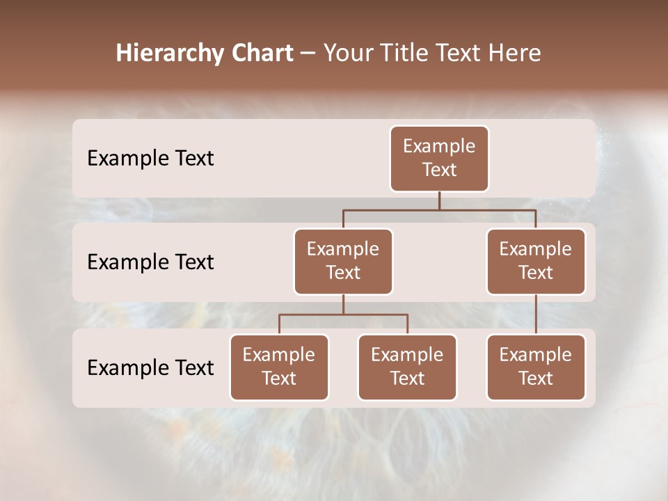Medical Macro Care PowerPoint Template
