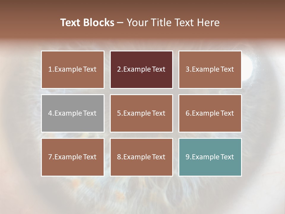 Medical Macro Care PowerPoint Template