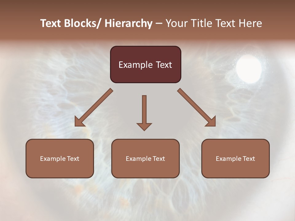 Medical Macro Care PowerPoint Template