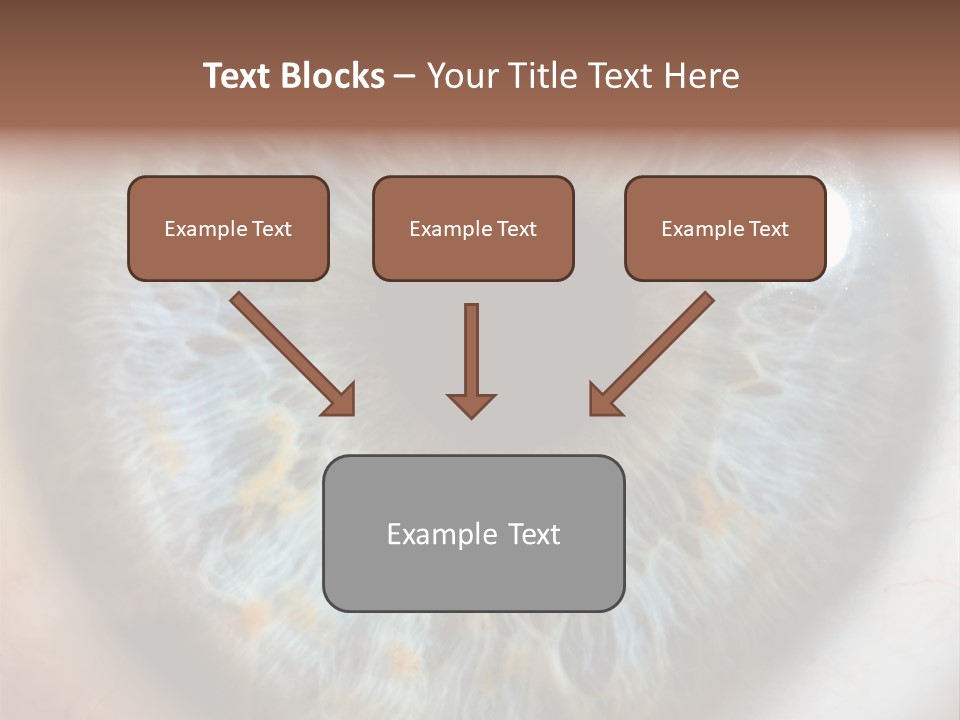 Medical Macro Care PowerPoint Template