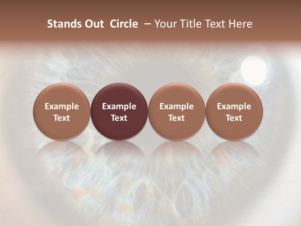 Medical Macro Care PowerPoint Template