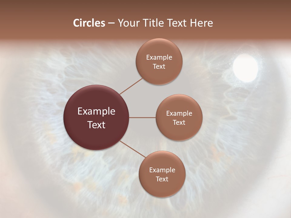 Medical Macro Care PowerPoint Template