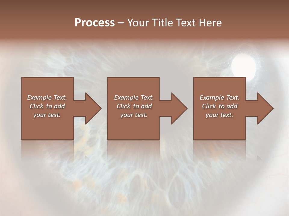 Medical Macro Care PowerPoint Template