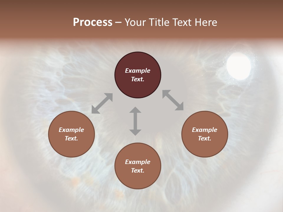 Medical Macro Care PowerPoint Template