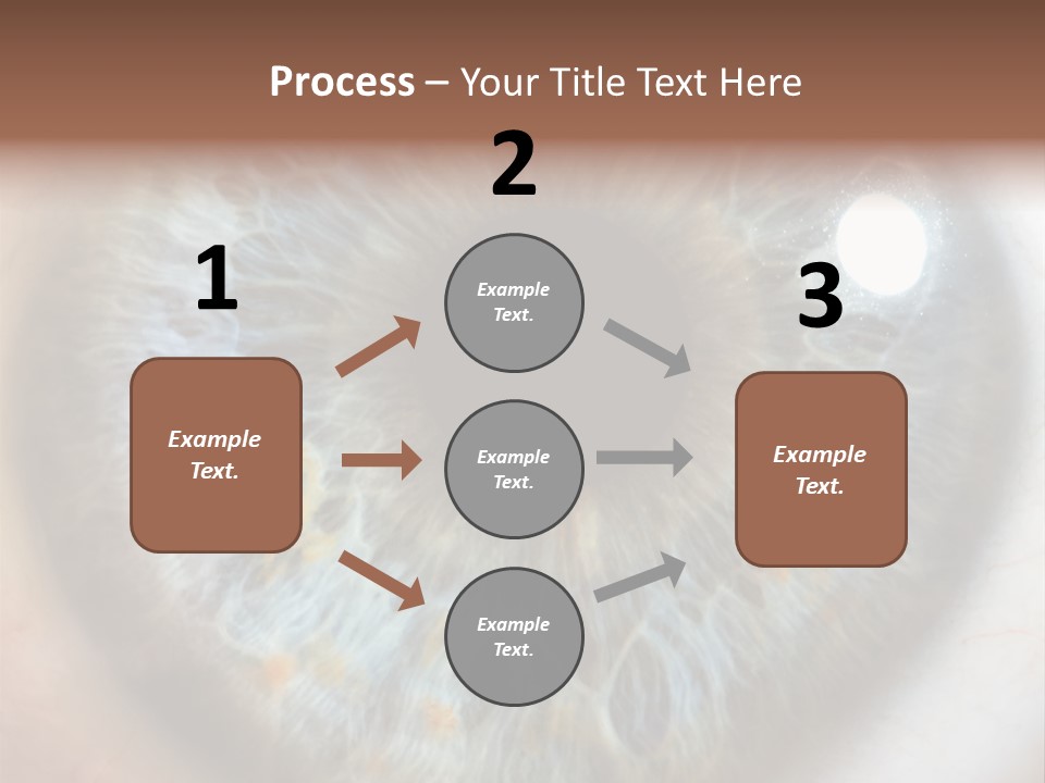 Medical Macro Care PowerPoint Template