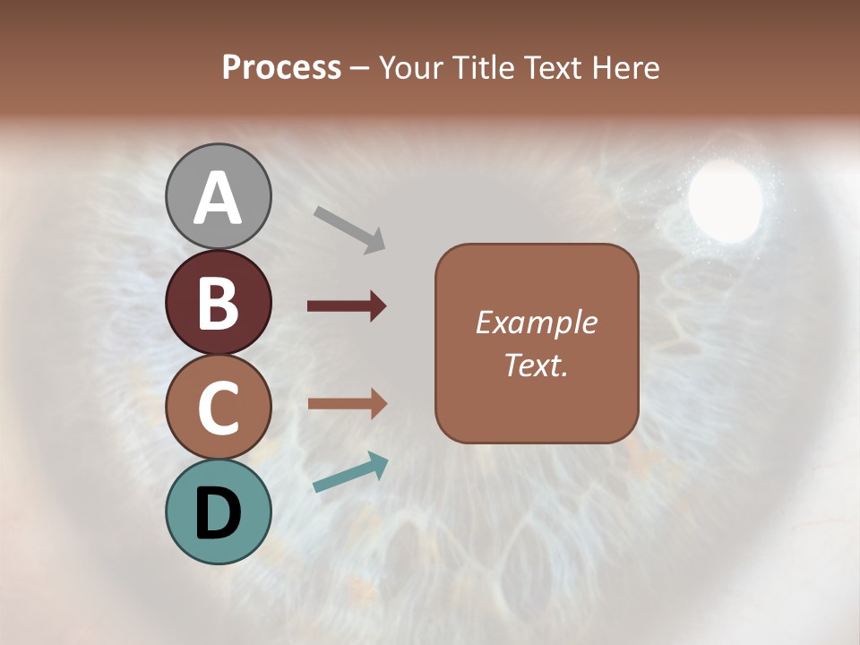 Medical Macro Care PowerPoint Template