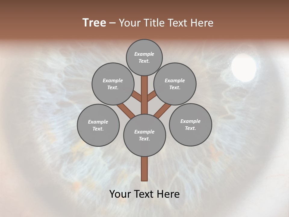 Medical Macro Care PowerPoint Template