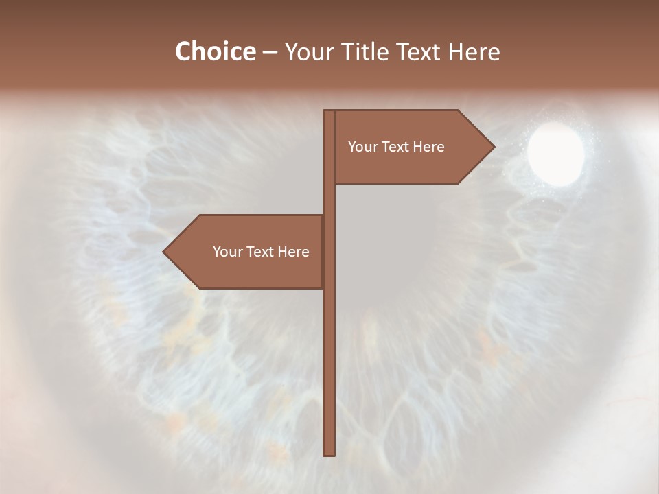 Medical Macro Care PowerPoint Template