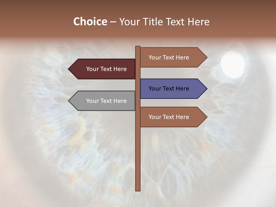 Medical Macro Care PowerPoint Template