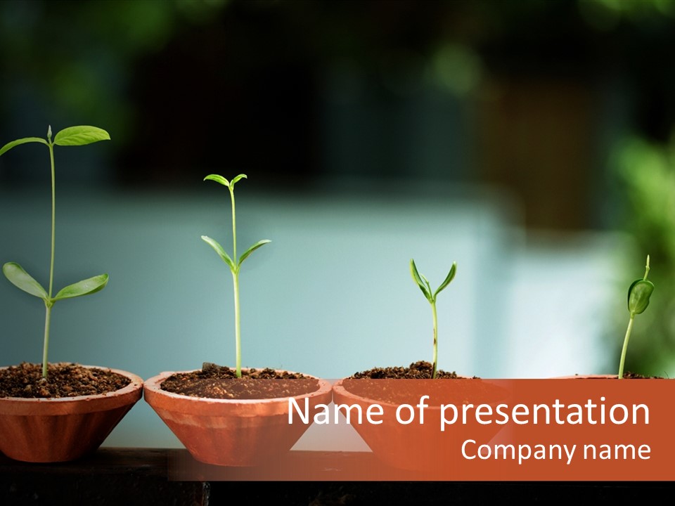 Germinating Beginnings Flora PowerPoint Template