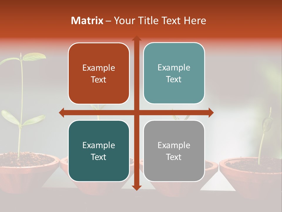 Germinating Beginnings Flora PowerPoint Template