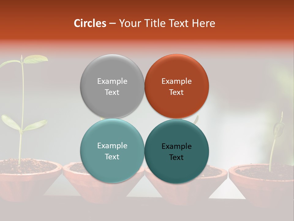 Germinating Beginnings Flora PowerPoint Template