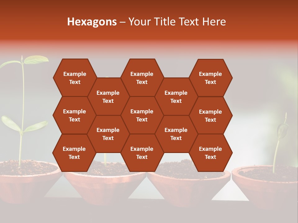 Germinating Beginnings Flora PowerPoint Template