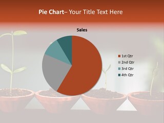 Germinating Beginnings Flora PowerPoint Template