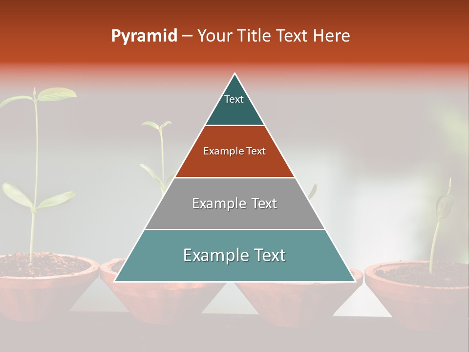 Germinating Beginnings Flora PowerPoint Template
