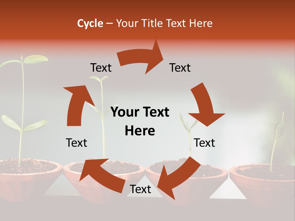 Germinating Beginnings Flora PowerPoint Template