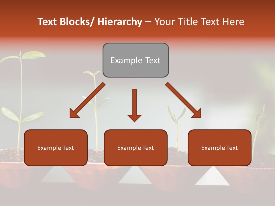 Germinating Beginnings Flora PowerPoint Template