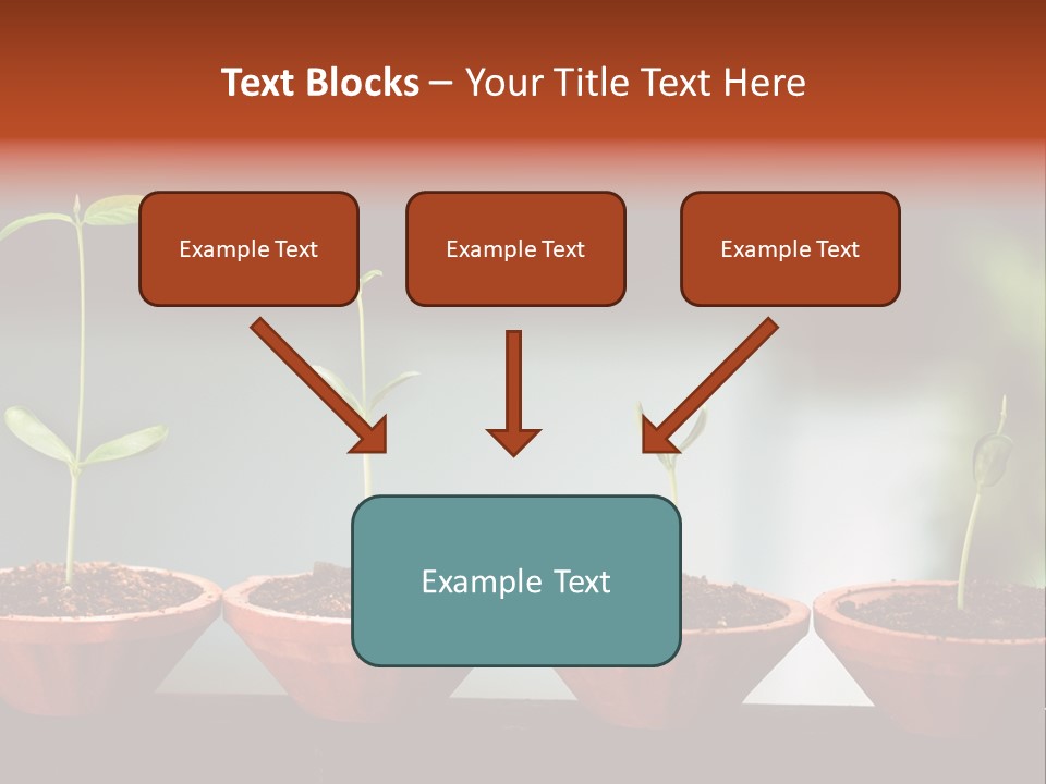 Germinating Beginnings Flora PowerPoint Template