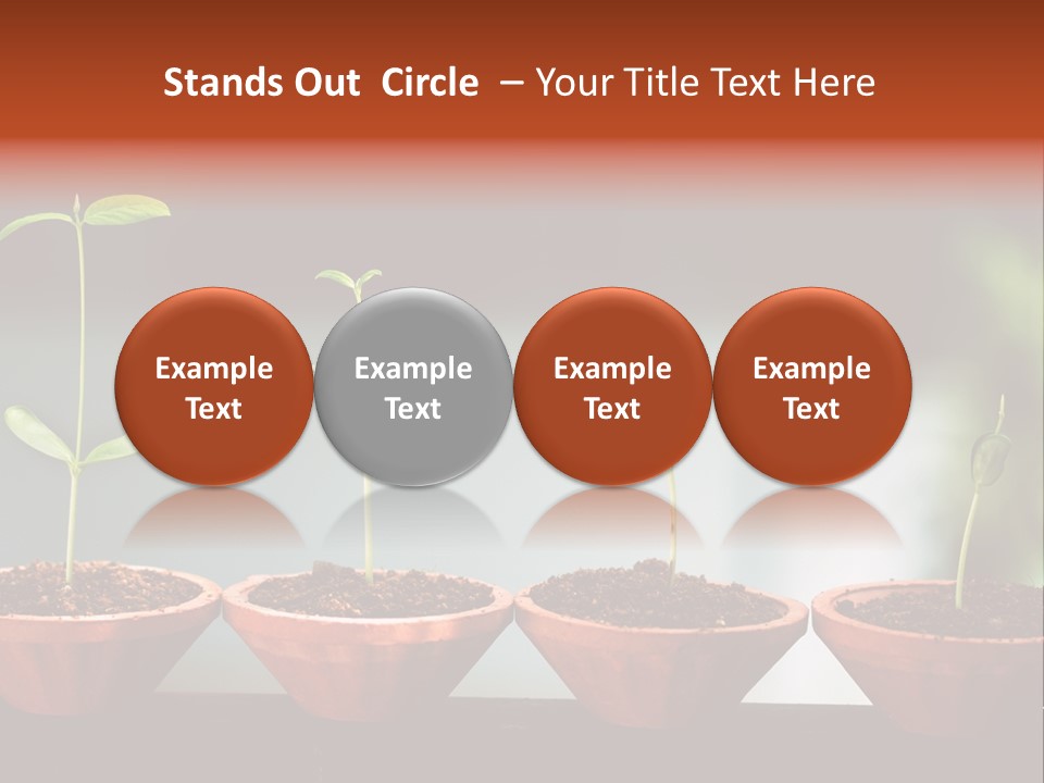 Germinating Beginnings Flora PowerPoint Template