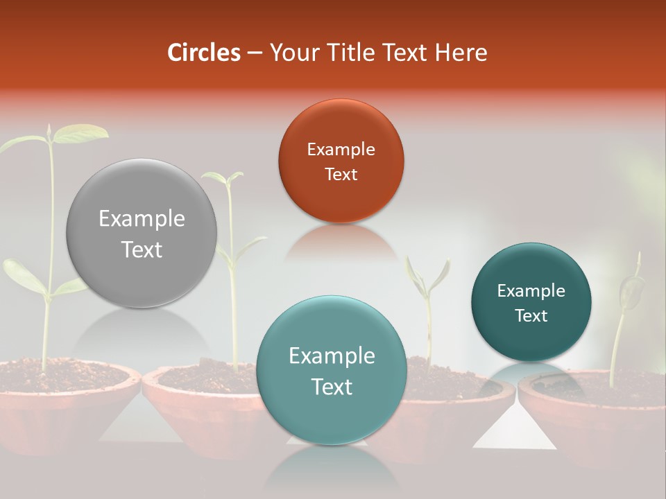 Germinating Beginnings Flora PowerPoint Template