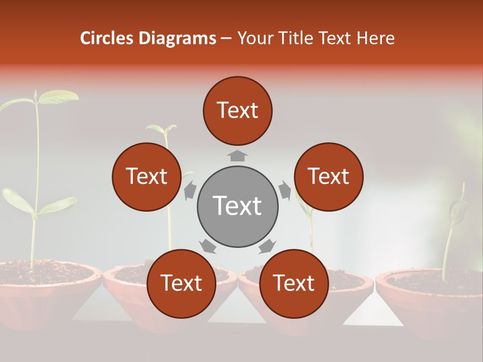 Germinating Beginnings Flora PowerPoint Template