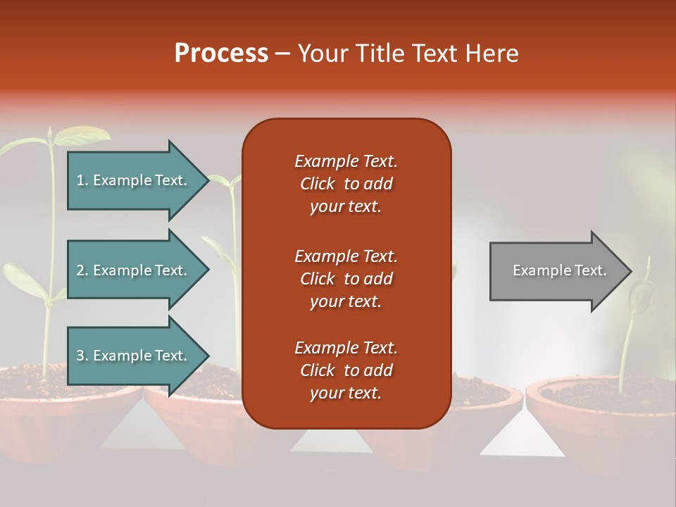 Germinating Beginnings Flora PowerPoint Template