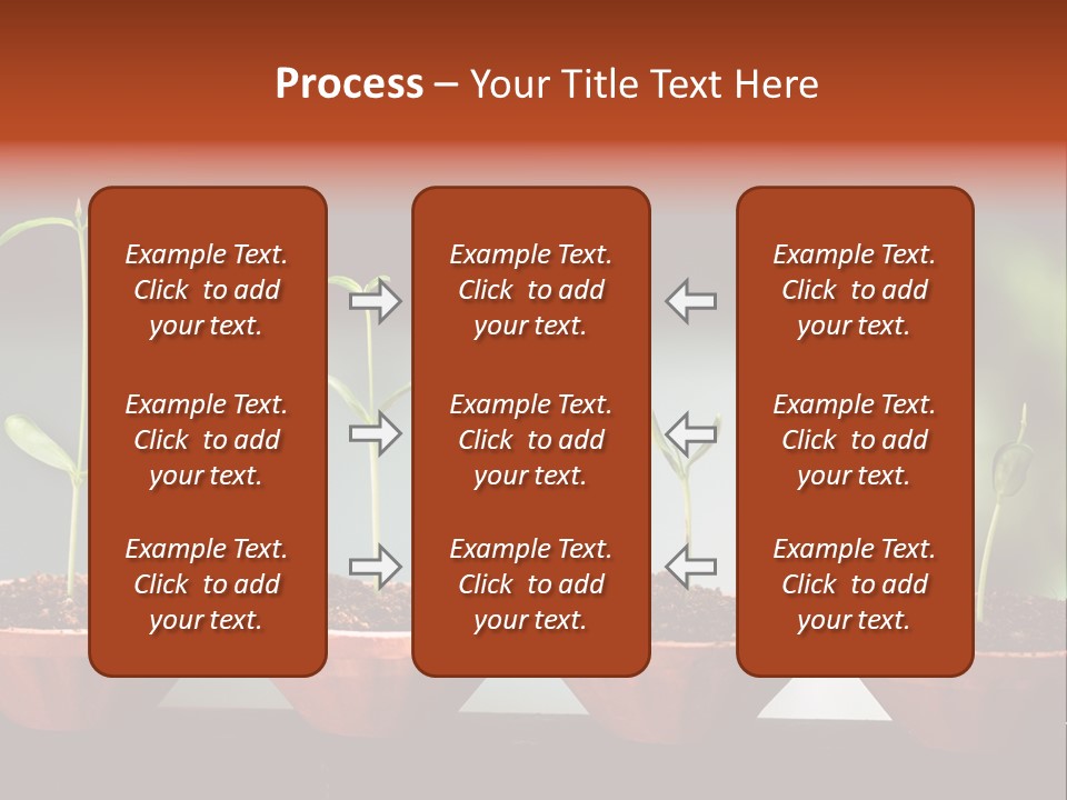 Germinating Beginnings Flora PowerPoint Template