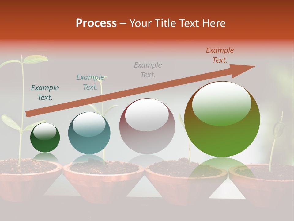 Germinating Beginnings Flora PowerPoint Template