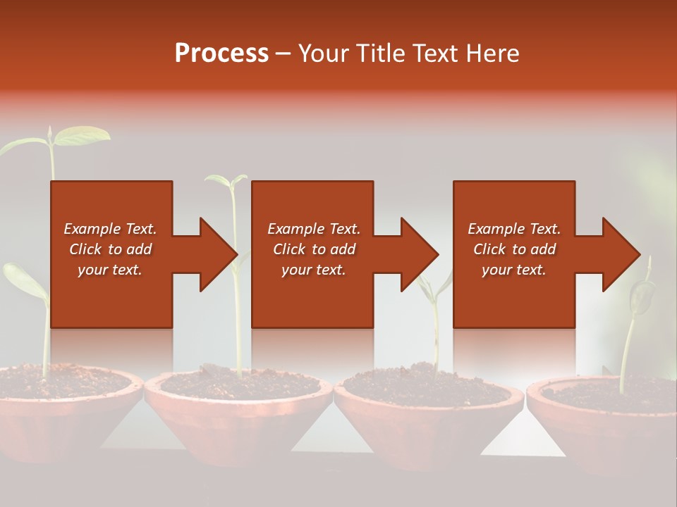 Germinating Beginnings Flora PowerPoint Template