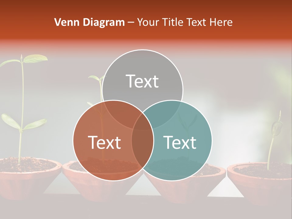 Germinating Beginnings Flora PowerPoint Template