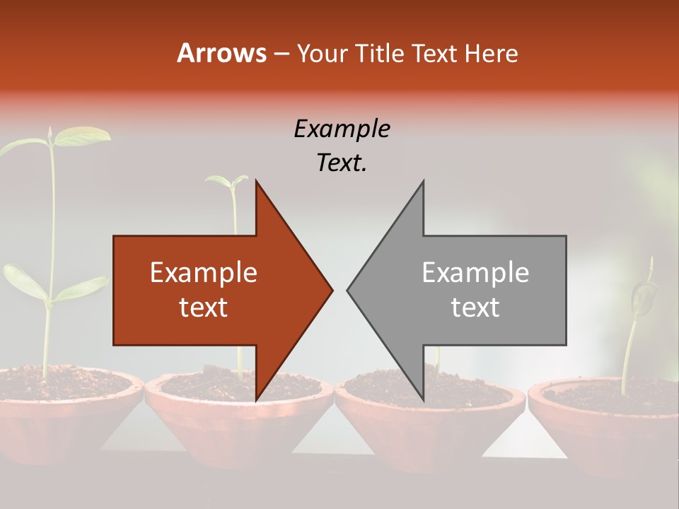 Germinating Beginnings Flora PowerPoint Template