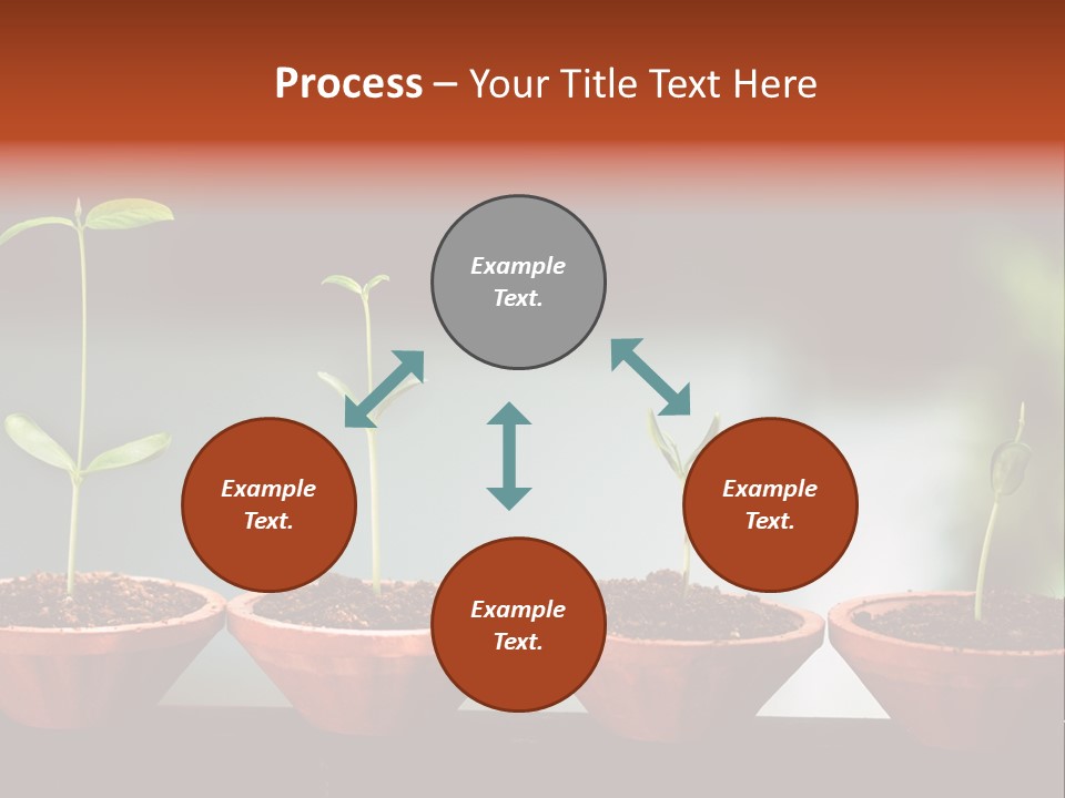 Germinating Beginnings Flora PowerPoint Template