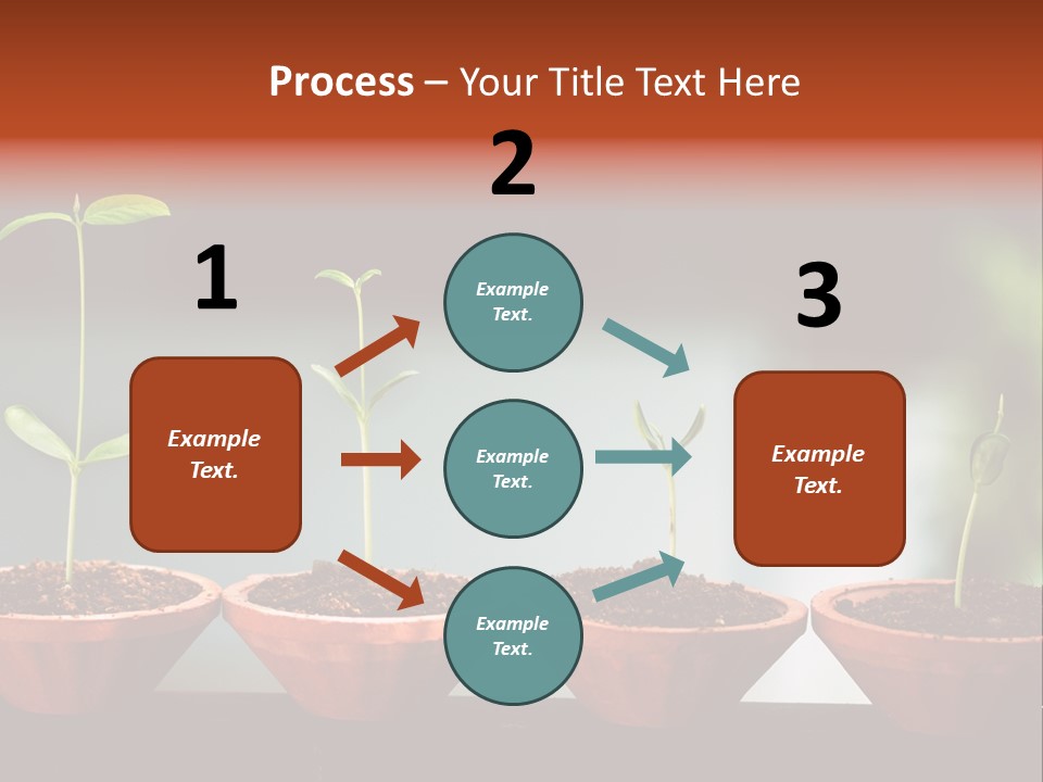 Germinating Beginnings Flora PowerPoint Template