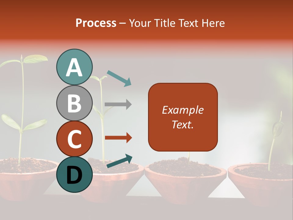 Germinating Beginnings Flora PowerPoint Template