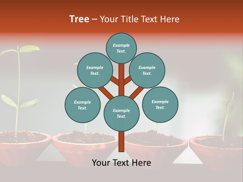 Germinating Beginnings Flora PowerPoint Template