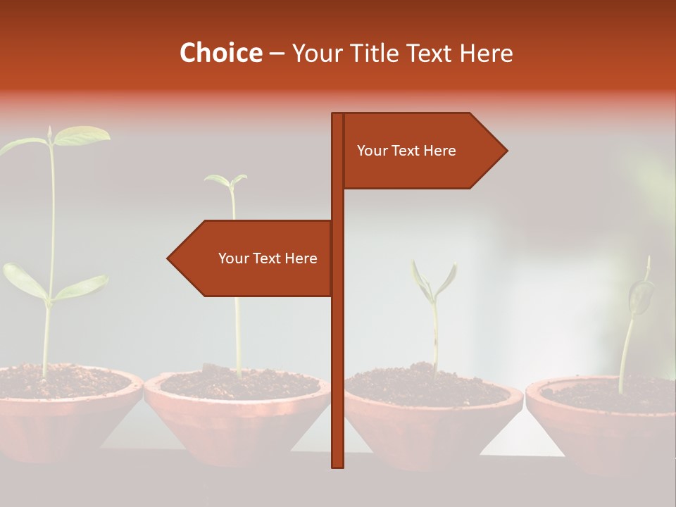 Germinating Beginnings Flora PowerPoint Template