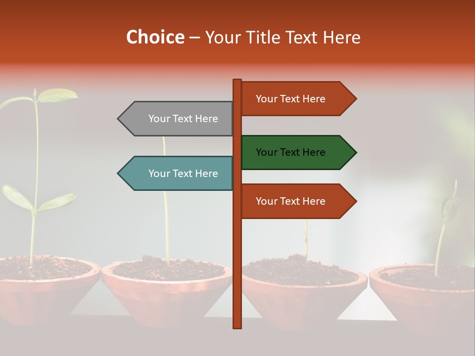 Germinating Beginnings Flora PowerPoint Template