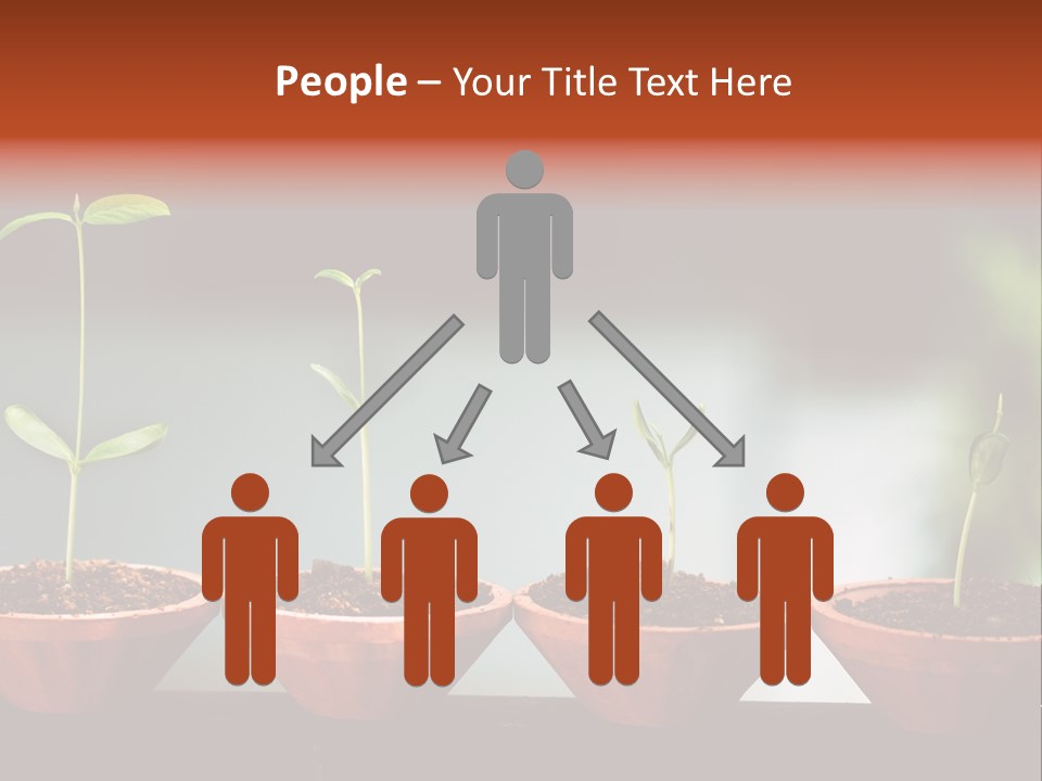 Germinating Beginnings Flora PowerPoint Template