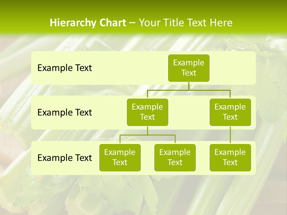 Eat Vegetable Color PowerPoint Template