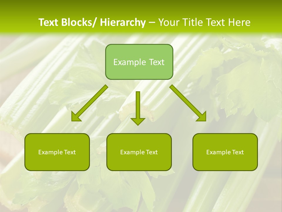 Eat Vegetable Color PowerPoint Template